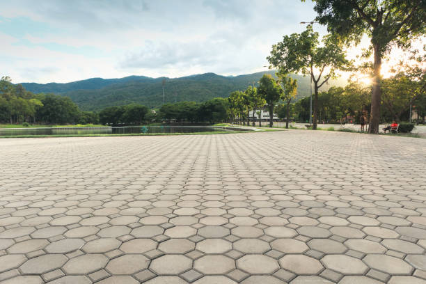 Best Local Driveway Pavers  in Corpus Christi, TX